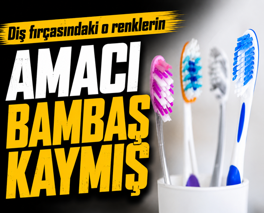 Diş fırçasındaki o renklerin amacı bambaşkaymış