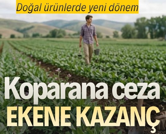 Doğal ürünlerde yeni dönem: Koparana ceza, ekene kazanç