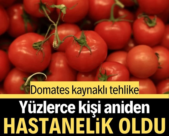 Domates kaynaklı tehlike: Yüzlerce kişi hastanelik oldu