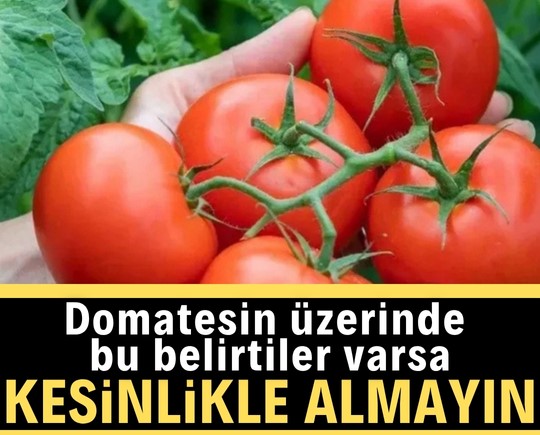Domatesin üzerinde bu belirtiler varsa, kesinlikle almayın