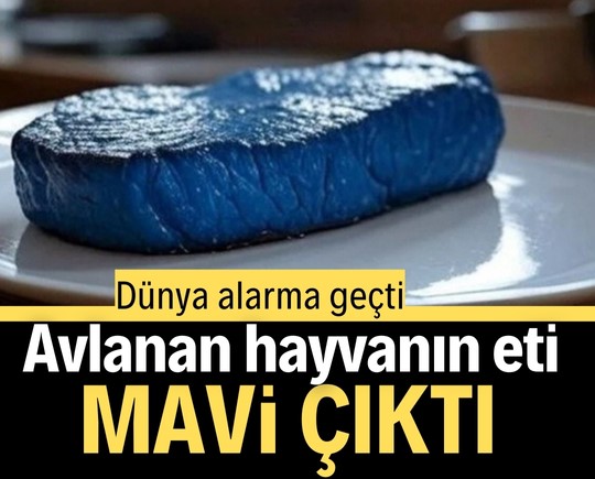 Dünya alarma geçti: Avlanan hayvanın eti mavi çıktı