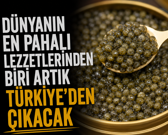 Dünyanın en pahalı lezzetlerinden biri artık Türkiye’den çıkacak