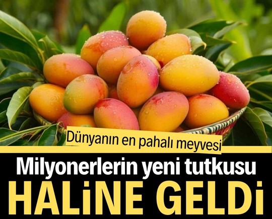 Dünyanın en pahalı meyvesi: Milyonerlerin yeni tutkusu haline geldi