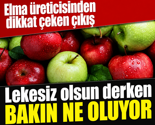 Elma üreticisinden dikkat çeken çıkış: Lekesiz olsun derken bakın ne oluyor