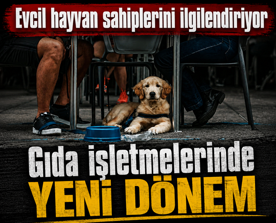 Evcil hayvan sahiplerini ilgilendiriyor: Gıda işletmelerinde yeni dönem