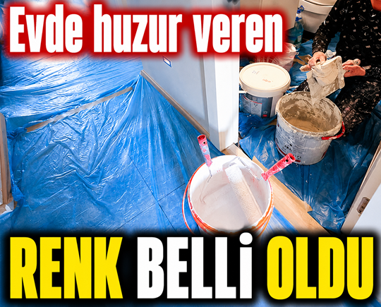 Evde huzur veren renk belli oldu