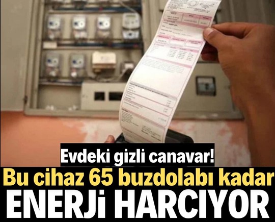 Evdeki gizli canavar! Bu cihaz 65 buzdolabı kadar enerji harcıyor
