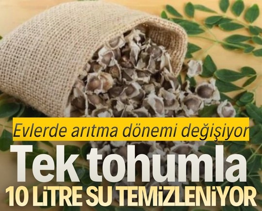 Evlerde arıtma dönemi değişiyor: Tek tohumla 10 litre su temizleniyor