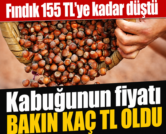 Fındık 155 TL’ye kadar düştü: Kabuğunun fiyatı bakın kaç TL oldu