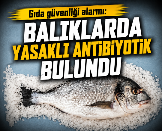 Gıda güvenliği alarmı: Balıklarda yasaklı antibiyotik bulundu