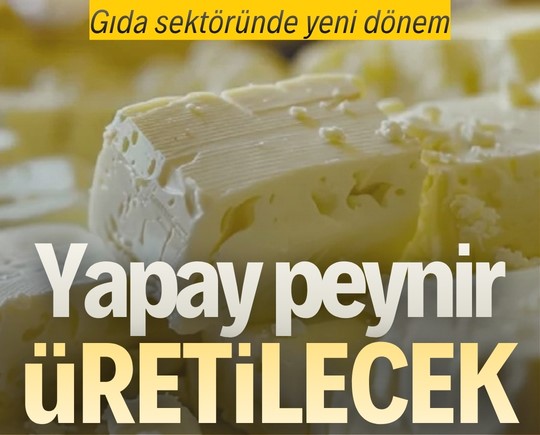 Gıda sektöründe yeni dönem: Yapay peynir üretilecek