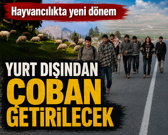 Hayvancılıkta yeni dönem: Yurt dışından çoban getirilecek