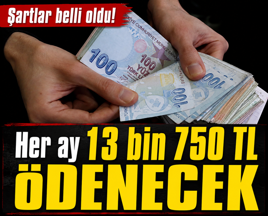 Her ay 13 bin 750 TL ödenecek! Şartlar belli oldu