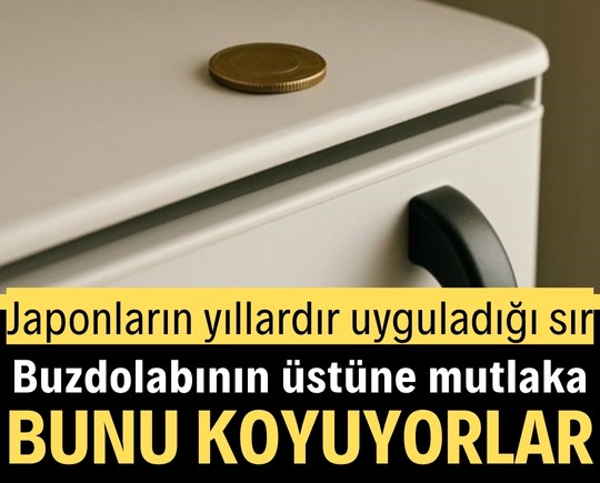 Japonların yıllardır uyguladığı sır: Buzdolabının üstüne mutlaka bunu koyuyorlar