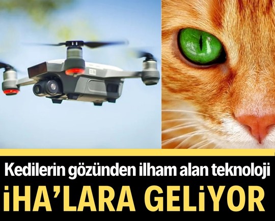 Kedilerin gözünden ilham alan teknoloji İHA’lara geliyor