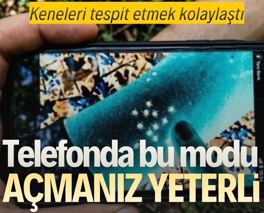 Keneleri tespit etmek kolaylaştı: Telefonda bu modu açmanız yeterli