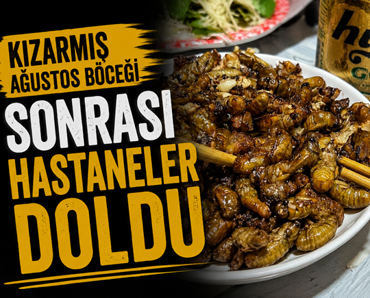 Kızarmış ağustos böceği sonrası hastaneler doldu