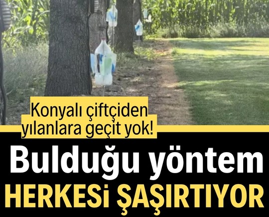 Konyalı çiftçiden yılanlara geçit yok! Bulduğu yöntem herkesi şaşırtıyor