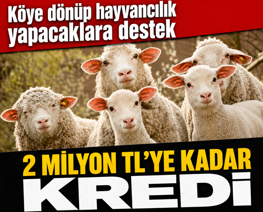 Köye dönüp hayvancılık yapacaklara destek: 2 milyon TL’ye kadar kredi