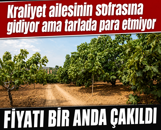 Kraliyet ailesinin sofrasına gidiyor ama tarlada para etmiyor: Fiyatı bir anda çakıldı