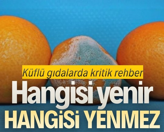 Küflü gıdalarda kritik rehber: Hangisi yenir, hangisi yenmez?