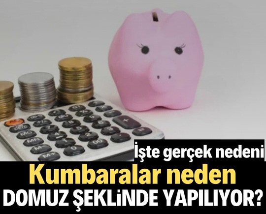 Kumbaralar neden domuz şeklinde yapılıyor? İşte gerçek nedeni