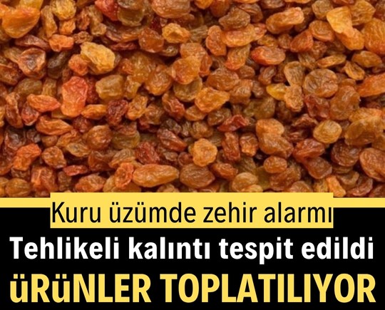 Kuru üzümde zehir alarmı: Tehlikeli kalıntı tespit edildi, ürünler toplatılıyor