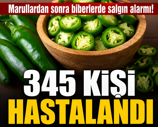 Marullardan sonra biberlerde salgın alarmı! 345 kişi hastalandı