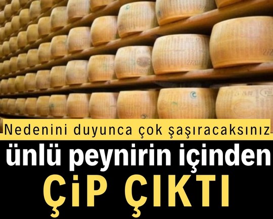 Nedenini duyunca çok şaşıracaksınız! Ünlü peynirin içinden çip çıktı