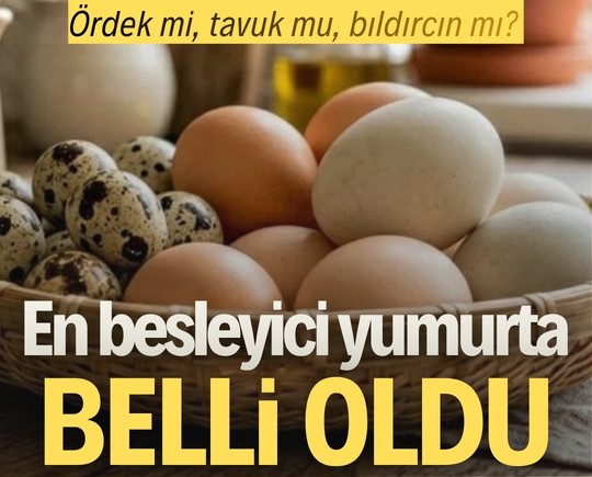 Ördek mi, tavuk mu, bıldırcın mı? En besleyici yumurta belli oldu