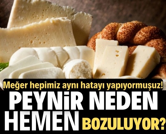 Peynir neden hemen bozuluyor? Meğer hepimiz aynı hatayı yapıyormuşuz!