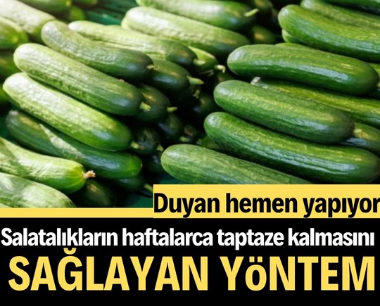 Salatalıkların haftalarca taptaze kalmasını sağlayan yöntem