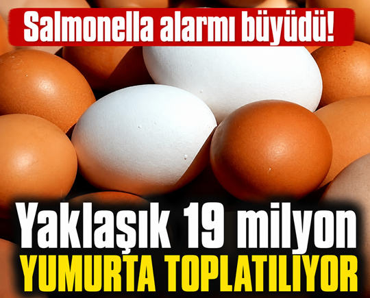 Salmonella alarmı büyüdü! Yaklaşık 19 milyon yumurta toplatılıyor