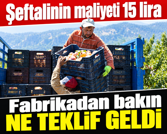 Şeftalinin maliyeti 15 lira, fabrikadan bakın ne teklif geldi