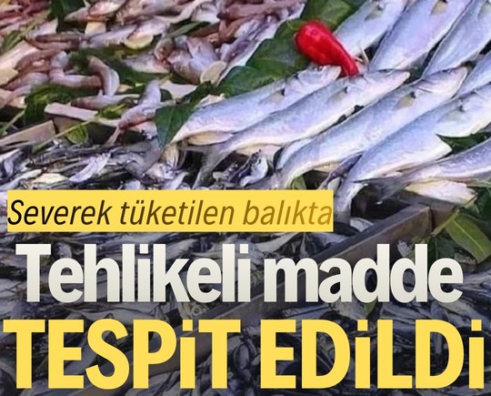 Severek tüketilen balıkta tehlikeli madde tespit edildi