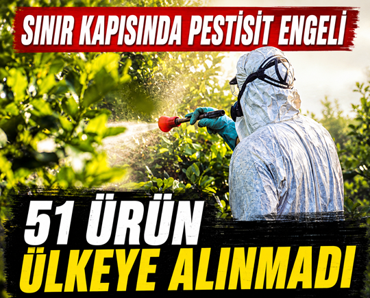 Sınır kapısında pestisit engeli: 51 ürün ülkeye alınmadı