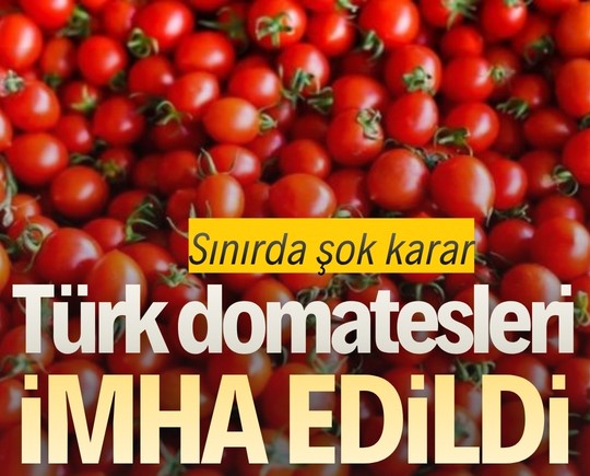 Sınırda şok karar: Türk domatesleri imha edildi