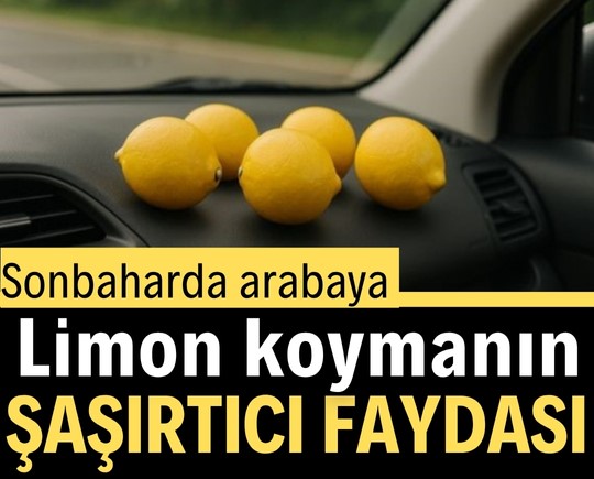 Sonbaharda arabaya limon koymanın şaşırtıcı faydası