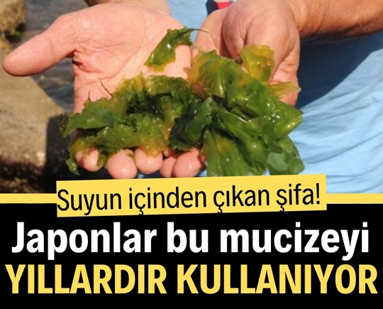 Suyun içinden çıkan şifa! Japonlar bu mucizeyi yıllardır kullanıyor