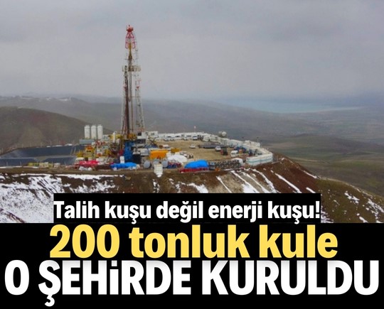 Talih kuşu değil enerji kuşu! 200 tonluk kule o şehirde kuruldu