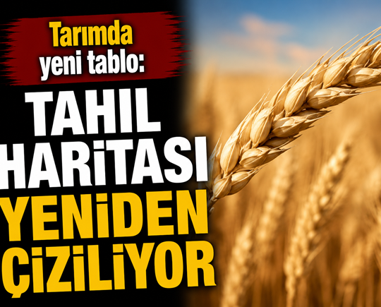 Tarımda yeni tablo: Tahıl haritası yeniden çiziliyor
