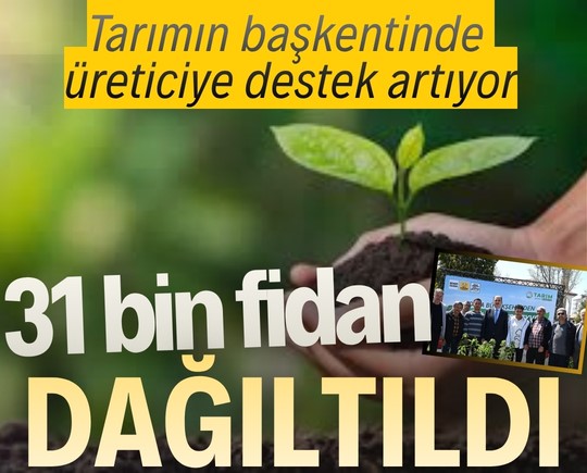 Tarımın başkentinde üreticiye destek artıyor: 31 bin fidan dağıtıldı