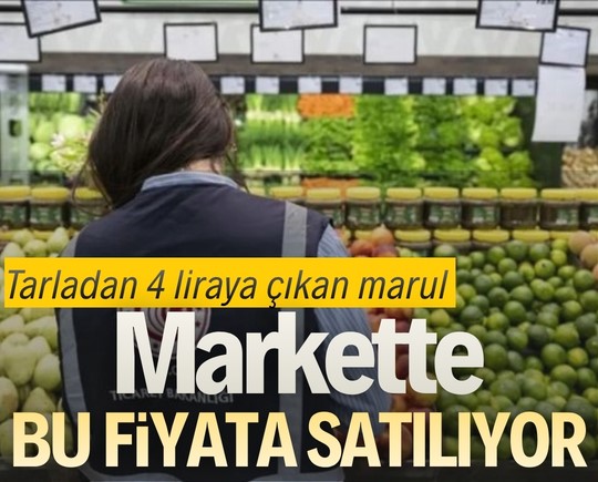 Tarladan 4 liraya çıkan marul markette bu fiyata satılıyor