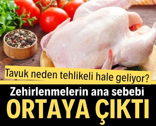 Tavuk neden tehlikeli hale geliyor? Zehirlenmelerin ana sebebi ortaya çıktı