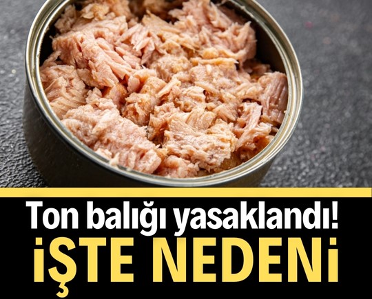 Ton balığı yasaklandı! İşte nedeni