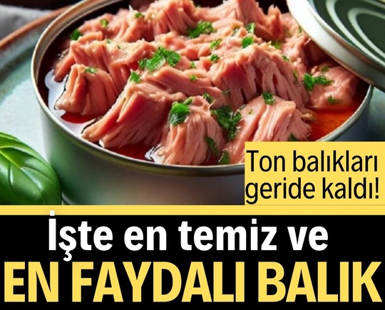 Ton balıkları geride kaldı! İşte en temiz ve en faydalı balık