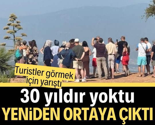 Turistler görmek için yarıştı: 30 yıldır yoktu, yeniden ortaya çıktı!