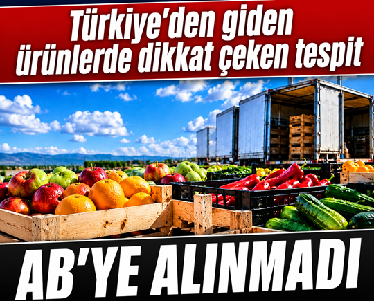 Türkiye’den giden ürünlerde dikkat çeken tespit: AB’ye alınmadı