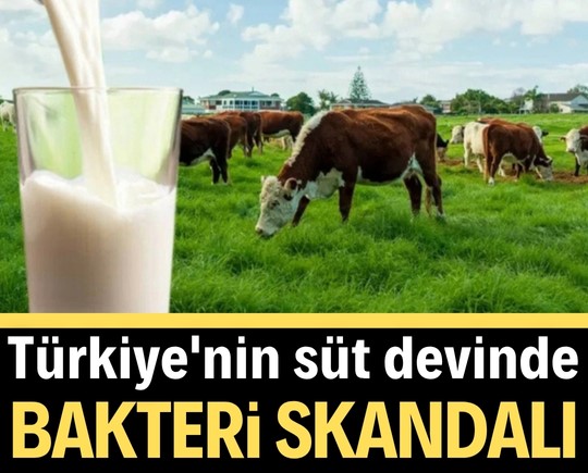 Türkiye'nin süt devinde bakteri skandalı