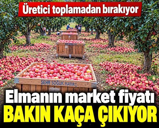 Üretici toplamadan bırakıyor: Elmanın market fiyatı bakın kaça çıkıyor